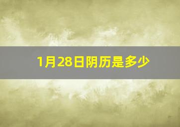 1月28日阴历是多少