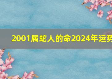 2001属蛇人的命2024年运势