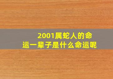 2001属蛇人的命运一辈子是什么命运呢