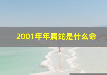 2001年年属蛇是什么命