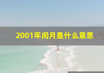 2001年闰月是什么意思