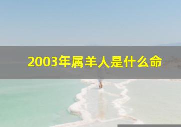 2003年属羊人是什么命