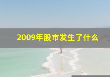 2009年股市发生了什么