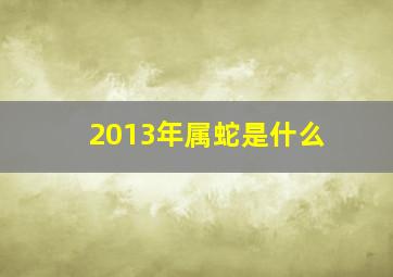 2013年属蛇是什么