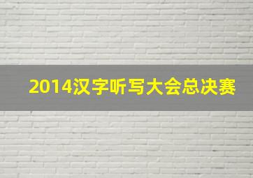 2014汉字听写大会总决赛