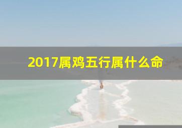 2017属鸡五行属什么命