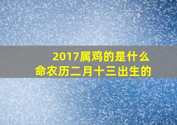 2017属鸡的是什么命农历二月十三出生的