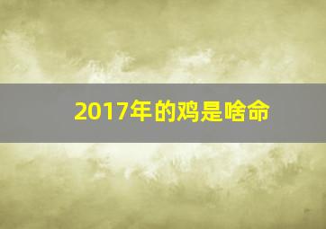 2017年的鸡是啥命