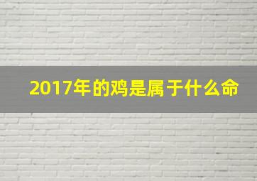 2017年的鸡是属于什么命