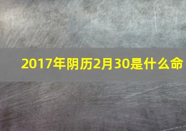 2017年阴历2月30是什么命