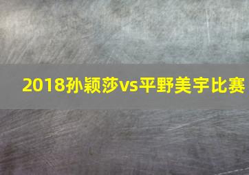 2018孙颖莎vs平野美宇比赛