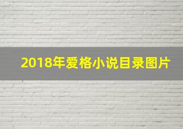 2018年爱格小说目录图片