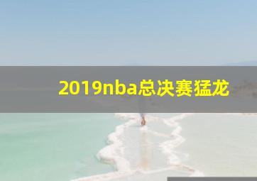 2019nba总决赛猛龙