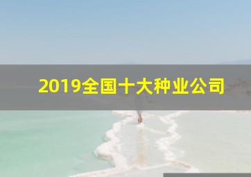 2019全国十大种业公司