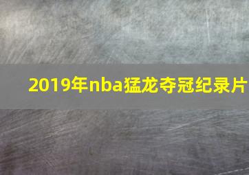 2019年nba猛龙夺冠纪录片