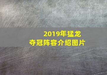 2019年猛龙夺冠阵容介绍图片