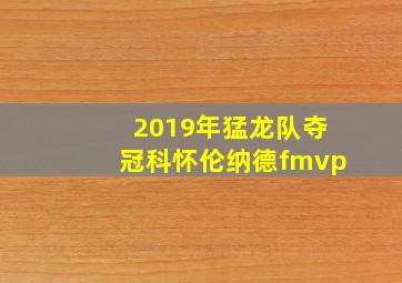 2019年猛龙队夺冠科怀伦纳德fmvp