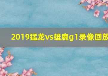 2019猛龙vs雄鹿g1录像回放