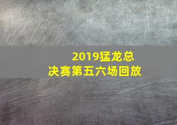 2019猛龙总决赛第五六场回放