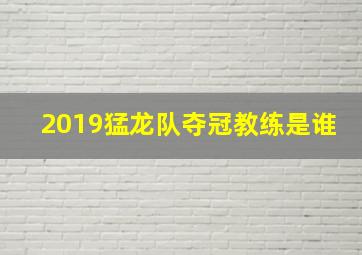 2019猛龙队夺冠教练是谁