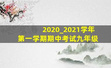 2020_2021学年第一学期期中考试九年级