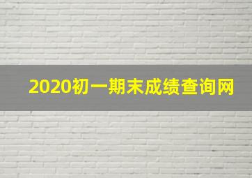 2020初一期末成绩查询网