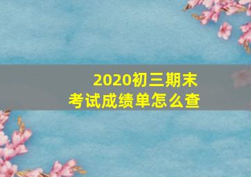 2020初三期末考试成绩单怎么查