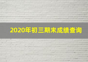 2020年初三期末成绩查询