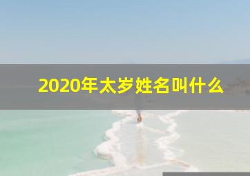 2020年太岁姓名叫什么