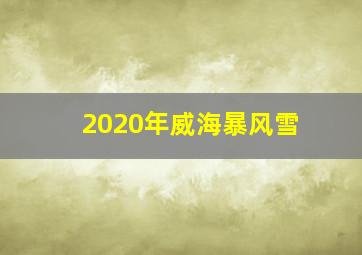 2020年威海暴风雪