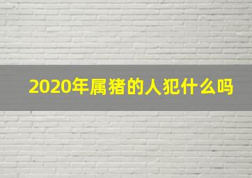 2020年属猪的人犯什么吗