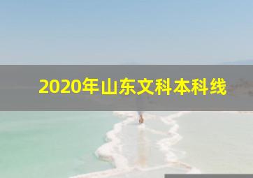 2020年山东文科本科线