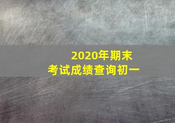 2020年期末考试成绩查询初一