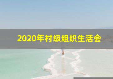 2020年村级组织生活会