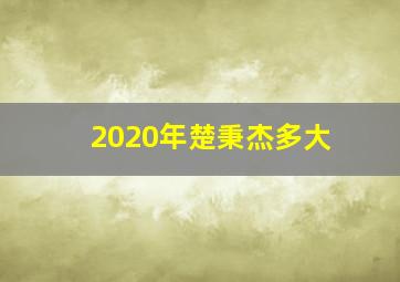 2020年楚秉杰多大