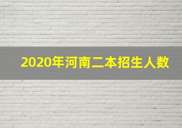 2020年河南二本招生人数