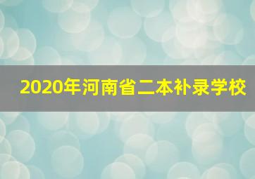 2020年河南省二本补录学校