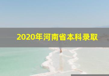 2020年河南省本科录取