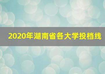 2020年湖南省各大学投档线