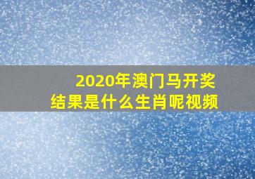 2020年澳门马开奖结果是什么生肖呢视频