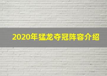 2020年猛龙夺冠阵容介绍