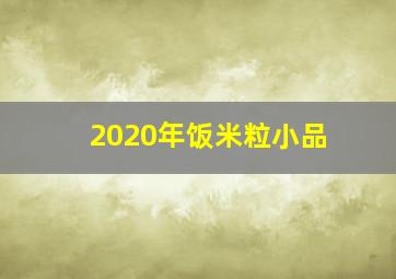 2020年饭米粒小品