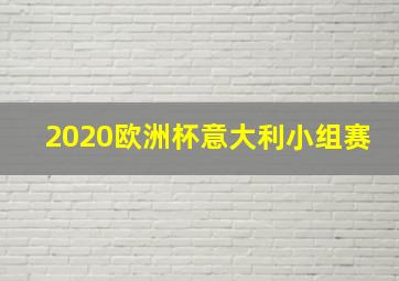 2020欧洲杯意大利小组赛