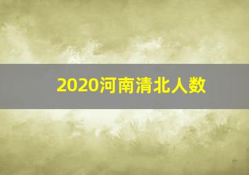 2020河南清北人数