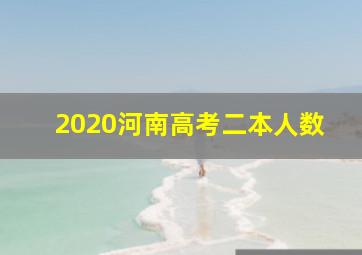 2020河南高考二本人数