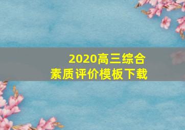 2020高三综合素质评价模板下载