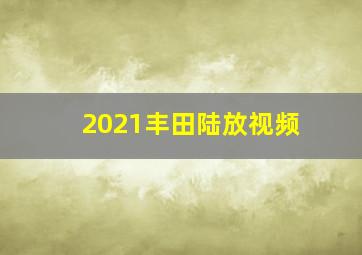 2021丰田陆放视频