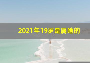 2021年19岁是属啥的