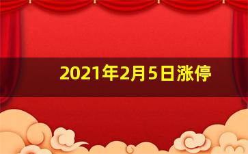 2021年2月5日涨停