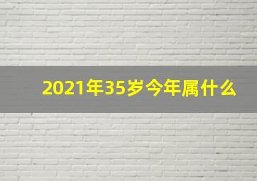 2021年35岁今年属什么